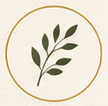 Restored Roots icon